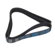 Ремень поликлиновый 10PK1505